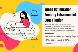 optimize speed improve security and fix bugs in your website