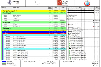 create primavera p6 schedule, gantt chart, resource allocation and s curves