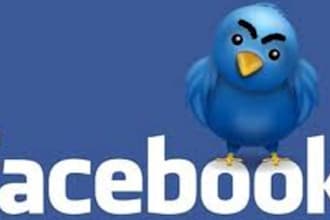promote your product website to 100000 people on facebook and twitter