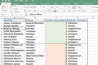 do ms excel editing, formatting,formula,macros