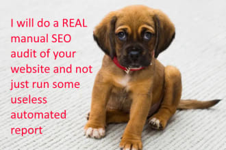do a hardcore manual SEO video audit of your website, not just a useless report