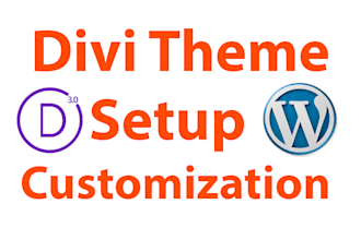 customize and redesign divi theme