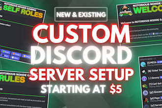 setup custom discord server within 12 hours