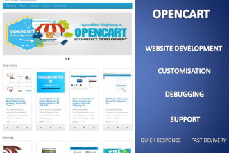 fix your php opencart website