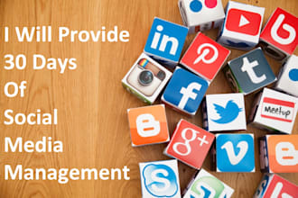 do 30 days of social media management and marketing