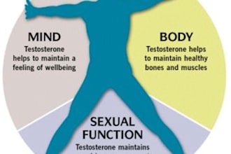 give You Pdf to Increase Sex Power by Secret Natural Ayurvedic Herbs, PenisHealth Techniques, your Ultimate Double Age Weapon