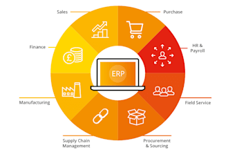 set up an erp system for your business