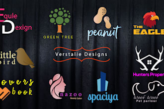 design a professional versatile logo for you