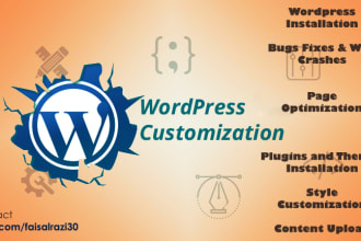 manage, update,install wordpress, fix issues at online store