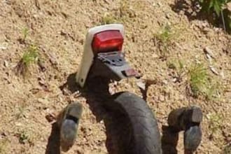 send you 200 funny pictures
