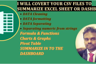 do excel data formatting, cleaning, splitting, summarizing