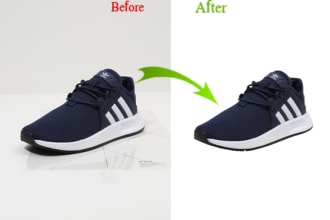 cut out 250 image per day remove background professionalily