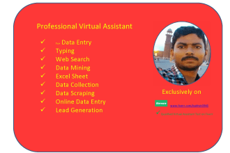 be your virtual assistant for data entry, data mining, copy paste, web research
