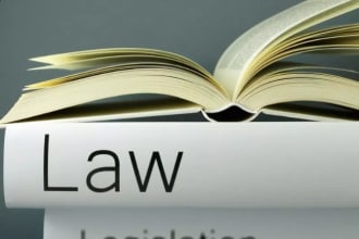 协助法律研究，备忘录，案件摘要，法律，合同和论文