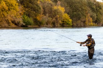 write a blog post or article for your fishing website