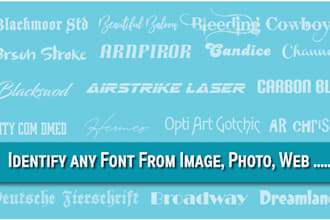 find and identify any font typeface