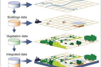 carry out your gis and remote sensing task