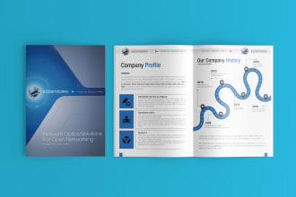 design a professional company profile, catalog and booklet