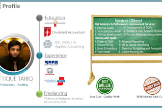 perform audit and risk advisory services