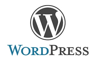 install wordpress theme like as demo