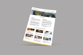 do  an awesome professional business flyer and brochure