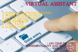 do on or offline data entry for big and small projects