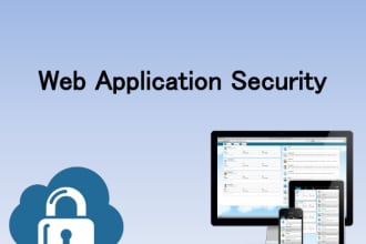perform manual penetration test of your web application
