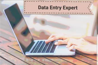do data entry,excel automation,web research