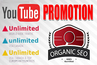 boost your youtube video with niche targeted campaign
