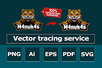 vectorise, revamp, redo, recreate, resize logo, image, make transparent png