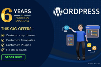 customize wp theme, template, plugin or fix css, js issues