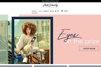 build shopify website, dropshipping shopify website design