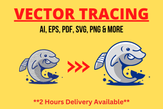 do vector tracing from any format to ai, eps, svg, png, etc