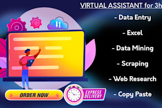 be your unique virtual assistant for 3 hrs