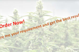 do citation building for dispensary