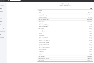 help you set up your books in quickbooks or excel