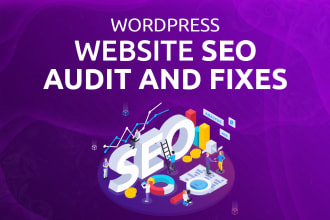 perform a website SEO audit and fix bugs and issues