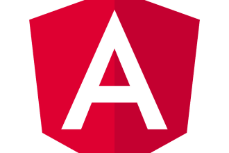 do your angularjs project