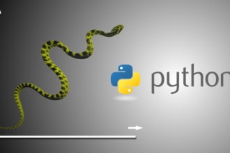 do small projects in python, matlab and machine learning