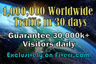 send real 1,000,000 worldwide website traffic