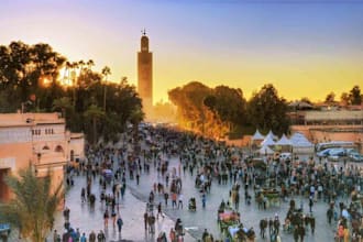 check the price of anything in morocco