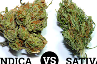 write SEO cannabis, hemp, cbd, and weed articles