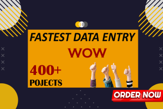 do the fastest data entry work, excel data cleaning, typing