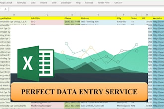 be your VA for data entry and data cleaning