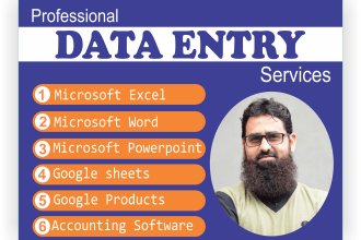 do data entry in excel, google sheets or accounting software perfectly