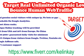 target real unlimited organic low bounce human web traffic