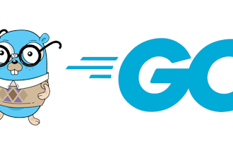do golang web app, rest api and projects