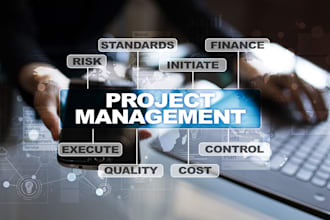 be your expert project manager for seamless project delivery