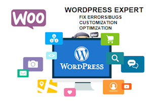 fix wordpress problems within 24hrs