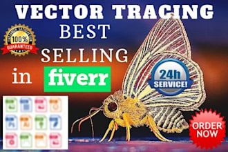 design a realistic vector tracing